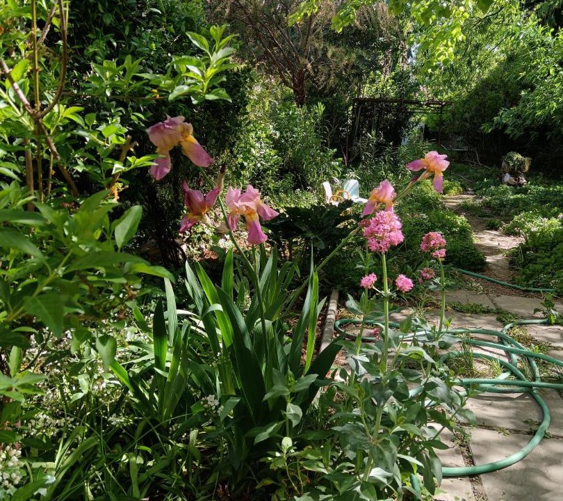 Photo of Outdoor in Cavaillon