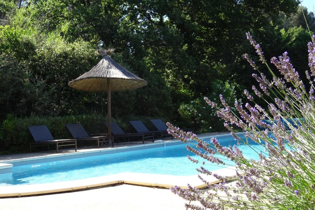 Photo of Others in St.-Remy-de-Provence