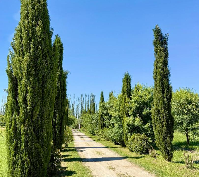 Photo of Outdoor in Molleges