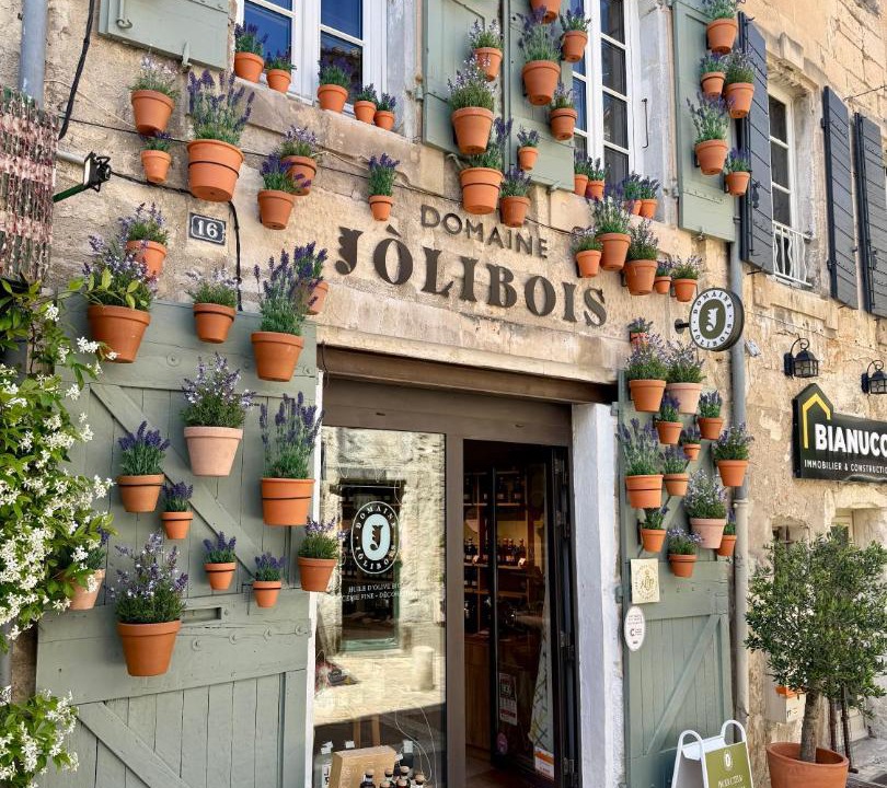 Photo of Others in Molleges