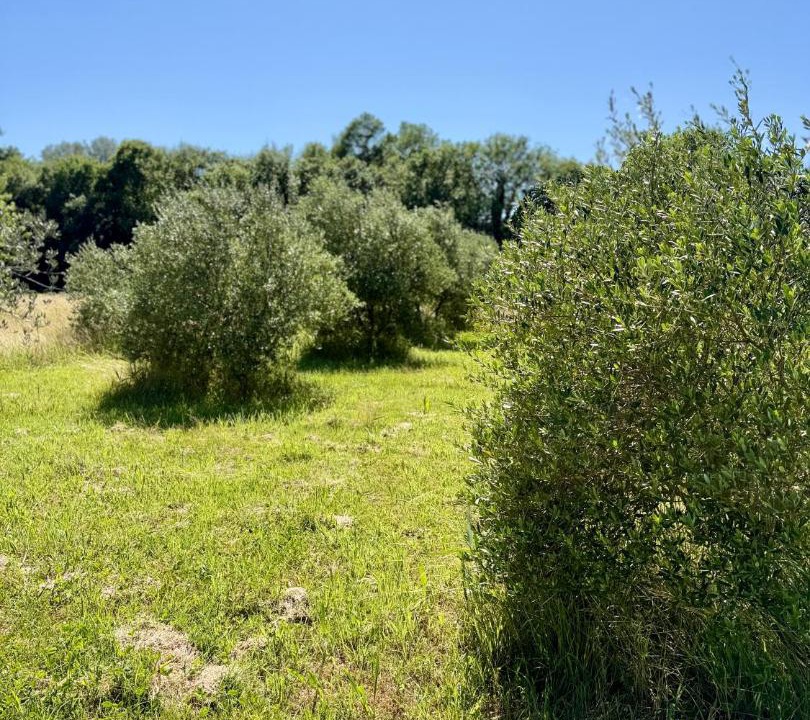 Photo of Others in Molleges