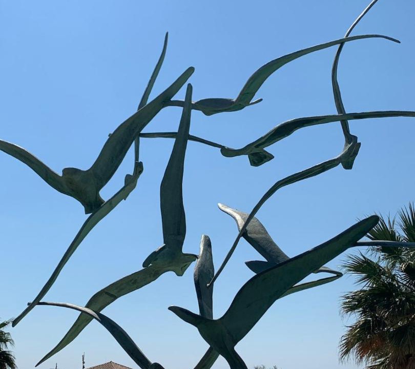 Photo of Others in Sausset-les-Pins