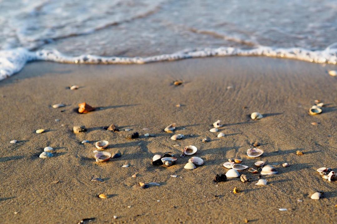 Photo of Others in Bibione Lido del Sole
