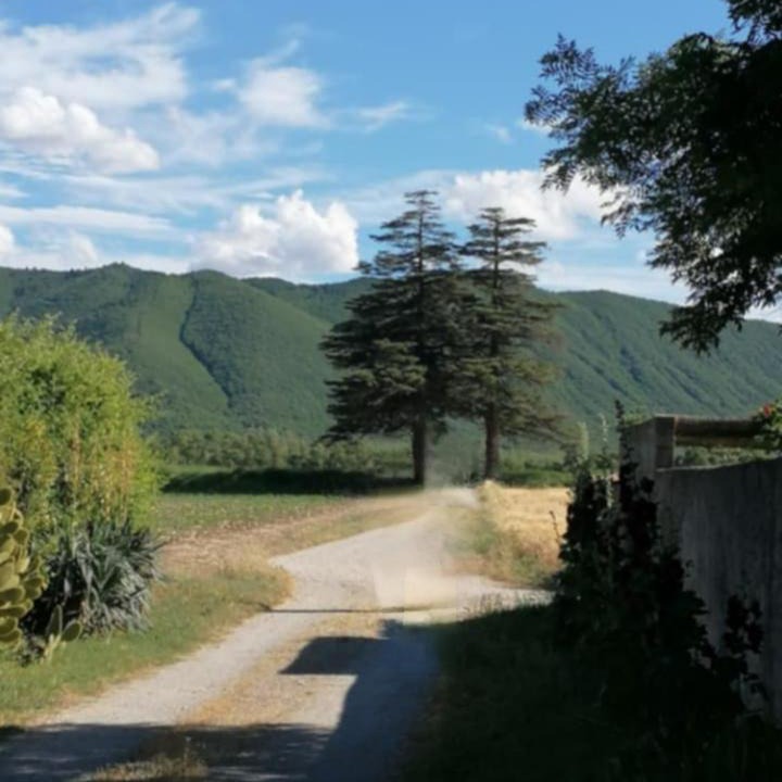 Photo of Others in L'Escale