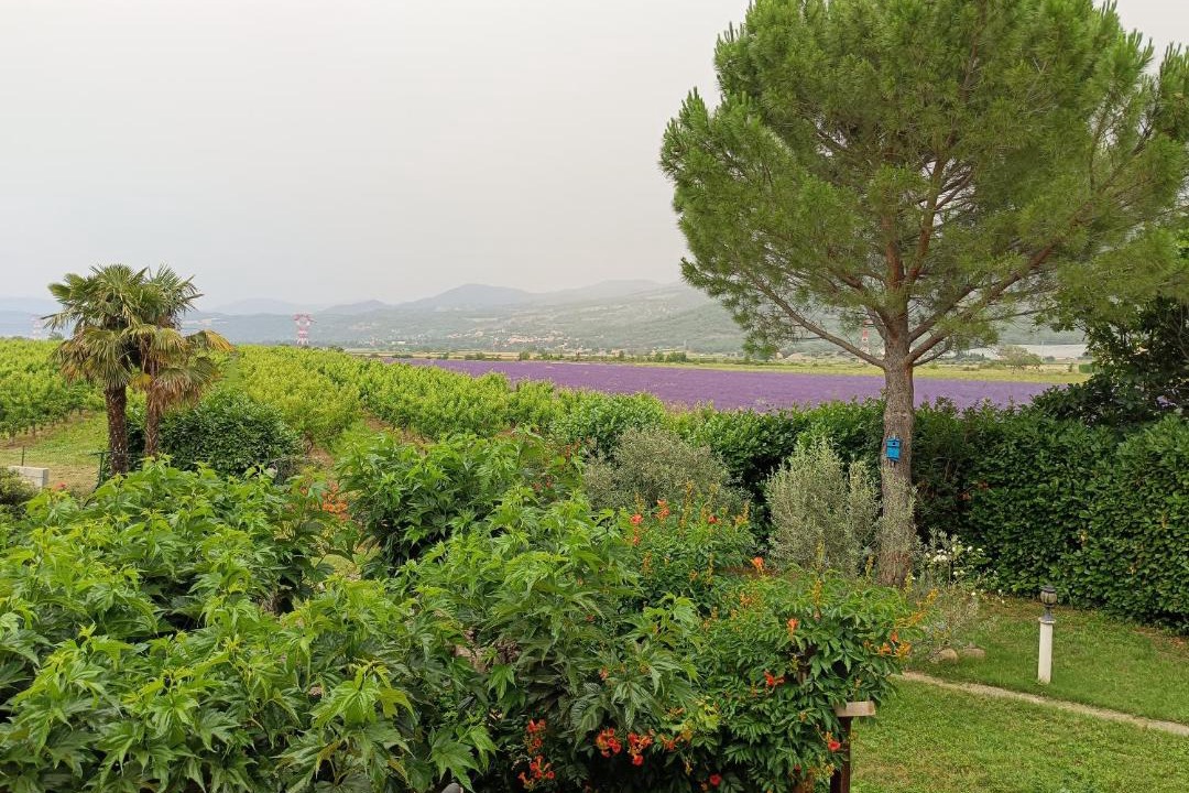 Photo of Others in L'Escale
