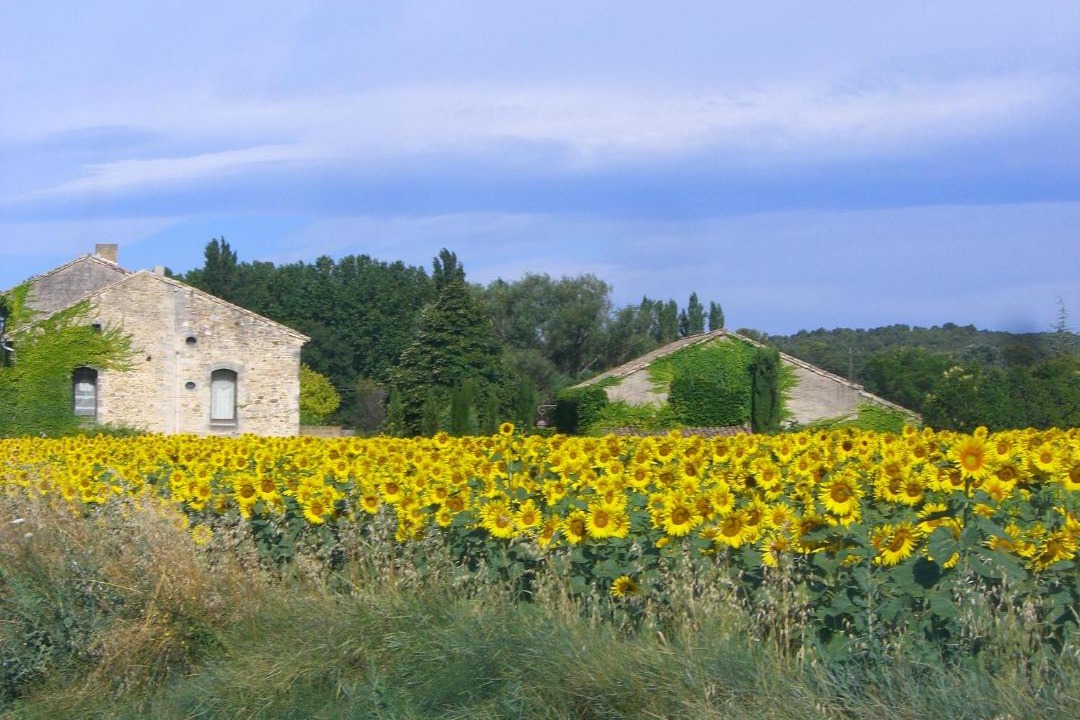 Photo of Others in Arpaillargues-et-Aureillac
