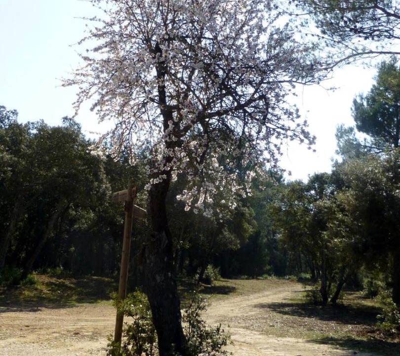 Photo of Others in Orgon