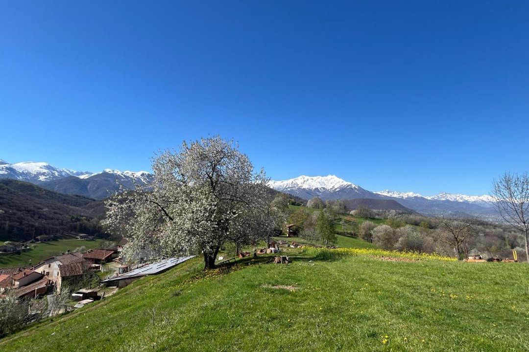 Photo of Others in Villanova Mondovi