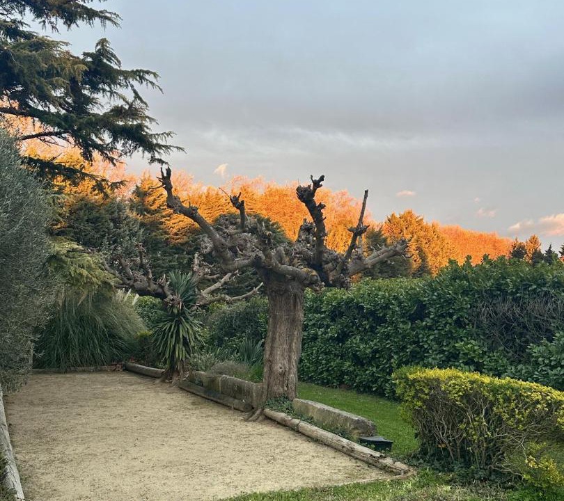 Photo of Others in Eygalieres