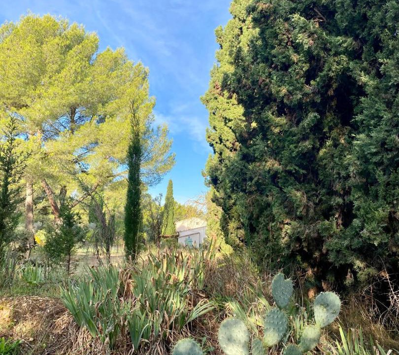 Photo of Others in St.-Remy-de-Provence