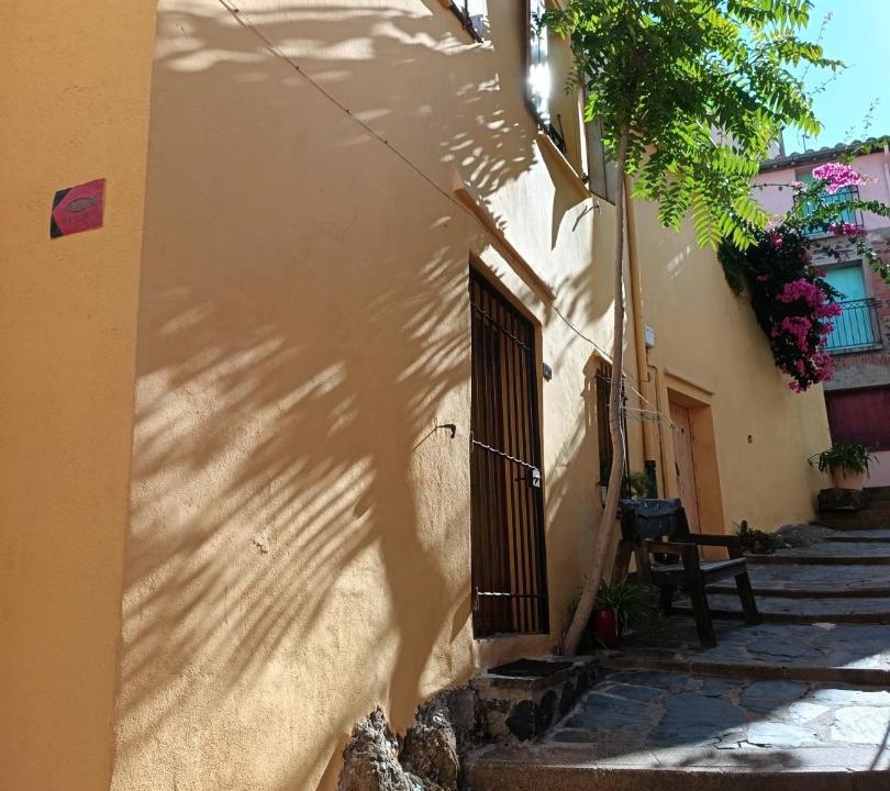 Photo of Others in Collioure