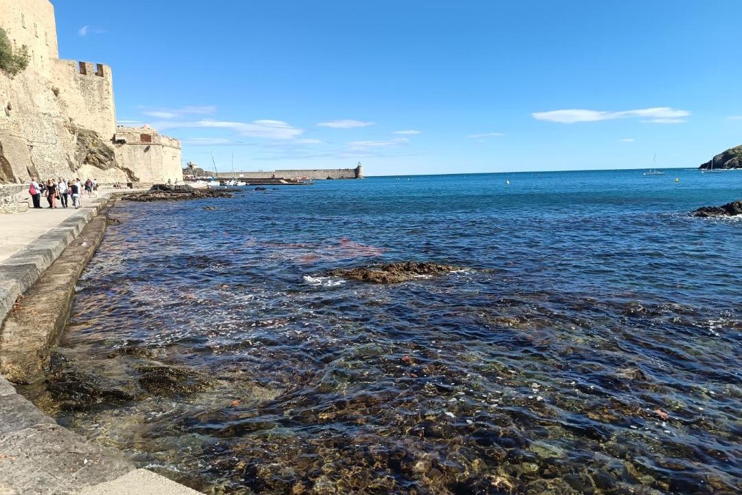 Photo of Others in Collioure