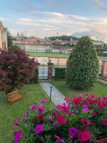 Photo of Others in Saluzzo