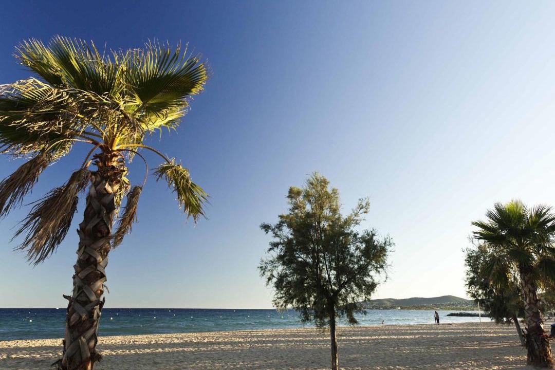 Photo of Others in Frejus Port