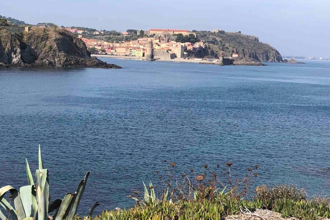 Photo of Others in Collioure