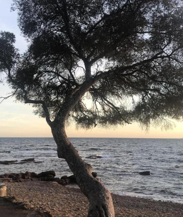 Photo of Others in Boulouris-sur-Mer