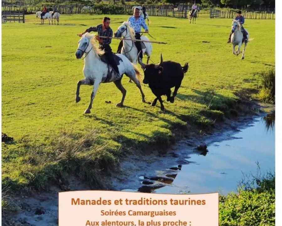 Photo of Others in Lunel