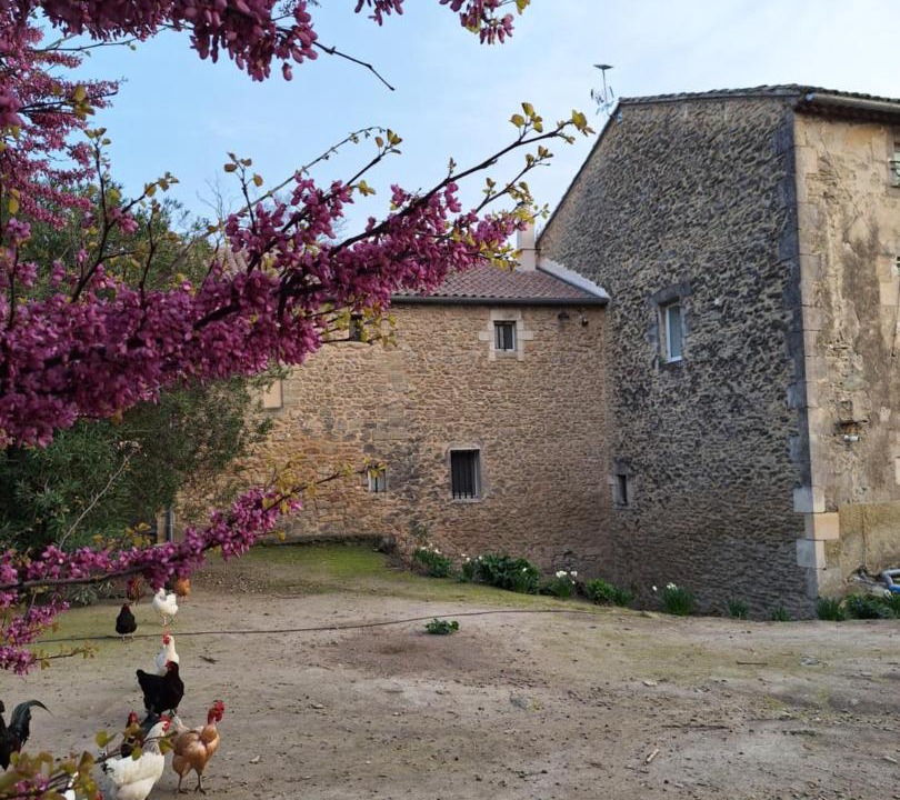 Photo of Others in Avignon