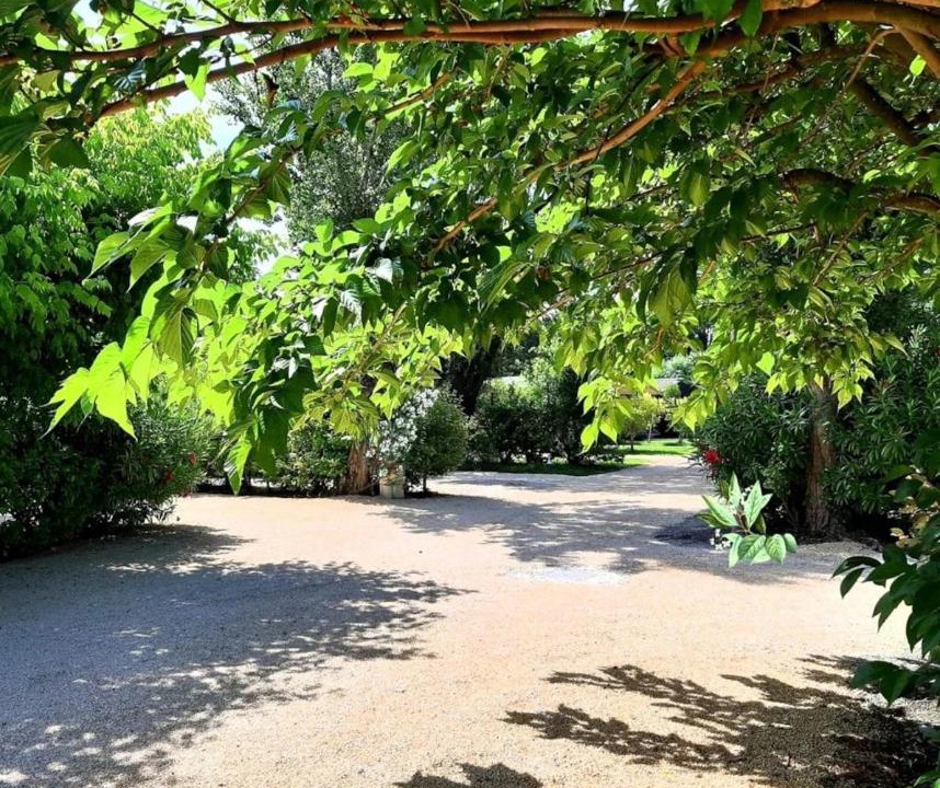 Photo of Others in Paluds de Noves