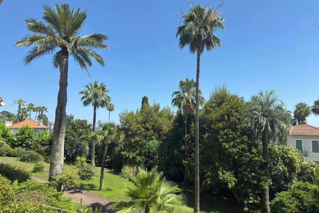 Photo of Others in California - Pezou