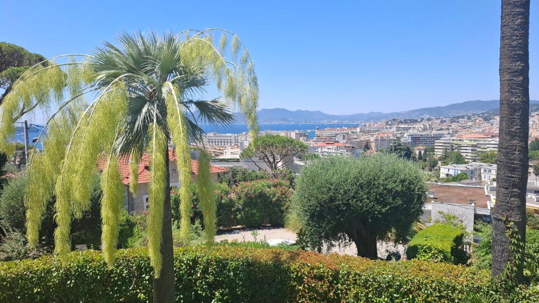 Photo of Others in California - Pezou