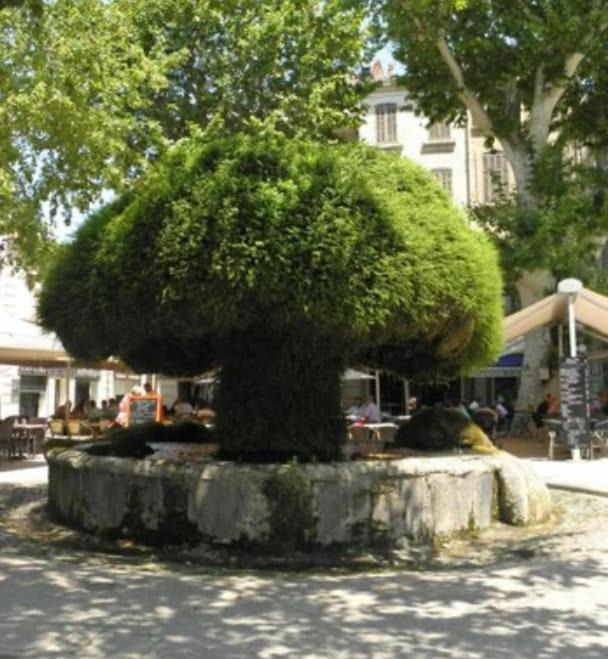 Photo of Others in Salon-de-Provence