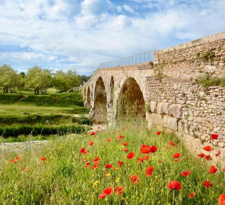 Photo of Others in Bonnieux