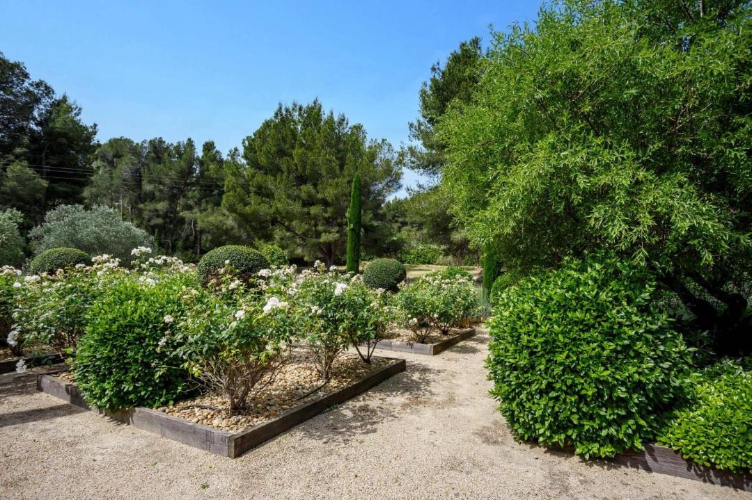 Photo of Others in Maussane-les-Alpilles