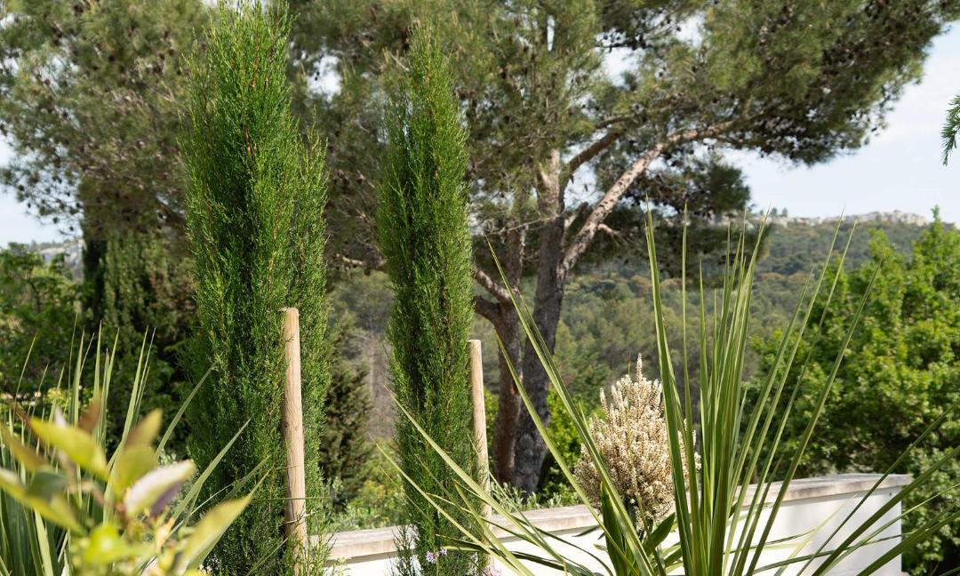 Photo of Others in Les Baux-de-Provence