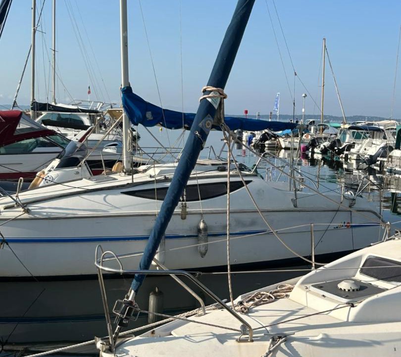 Photo of Others in Hyeres