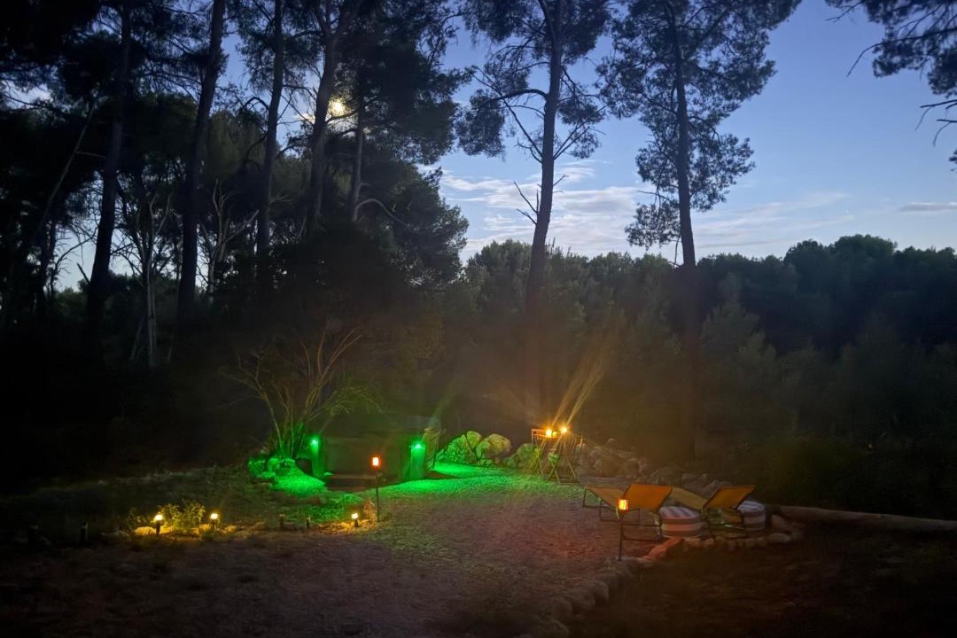Photo of Others in Istres