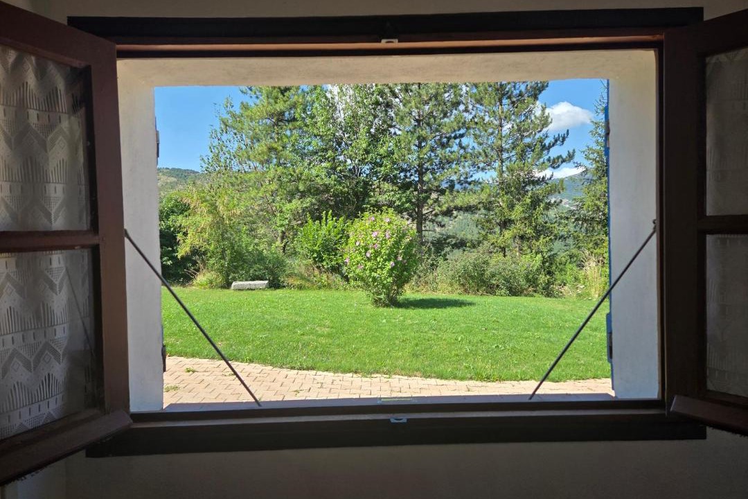 Photo of Others in Angles