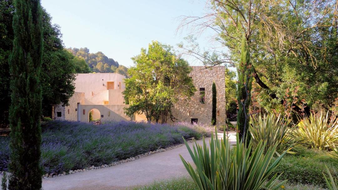 Photo of Others in Saint-Paul-de-Vence