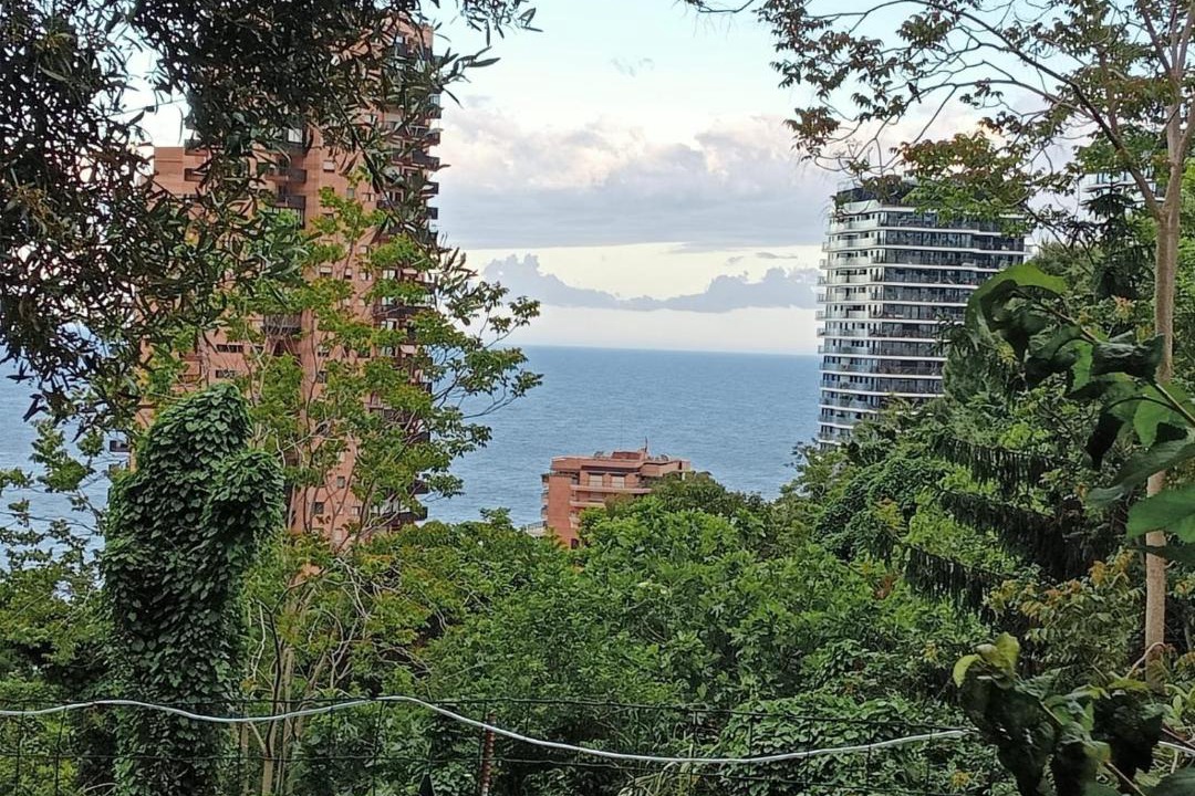 Photo of Others in Roquebrune-Cap-Martin