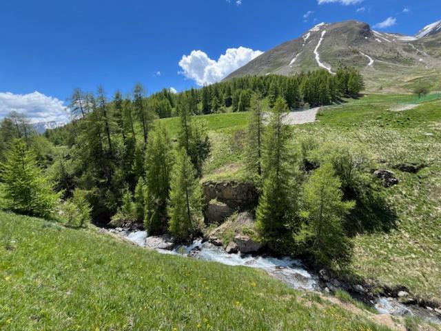Photo of Others in Allos