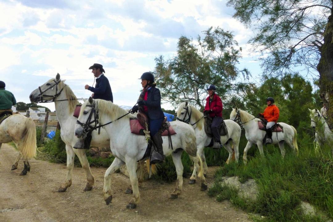 Photo of Others in Bellegarde