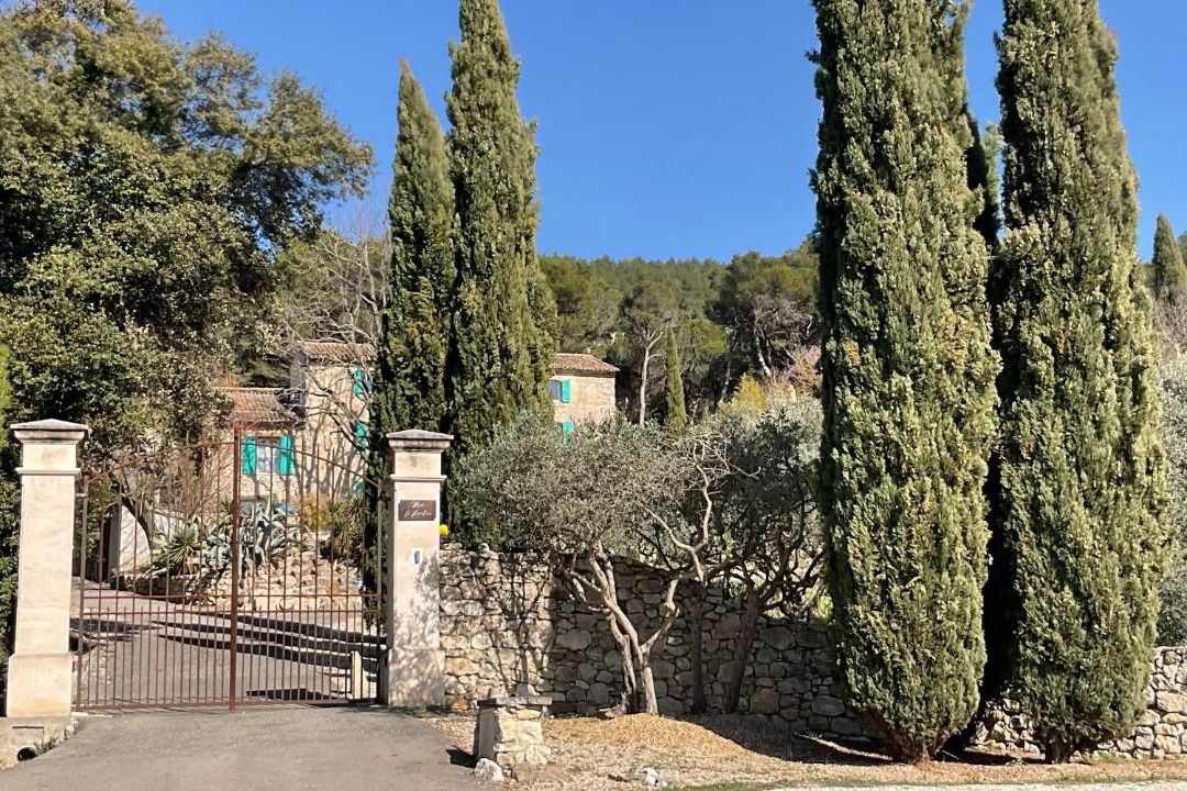 Photo of Others in Cheval-Blanc