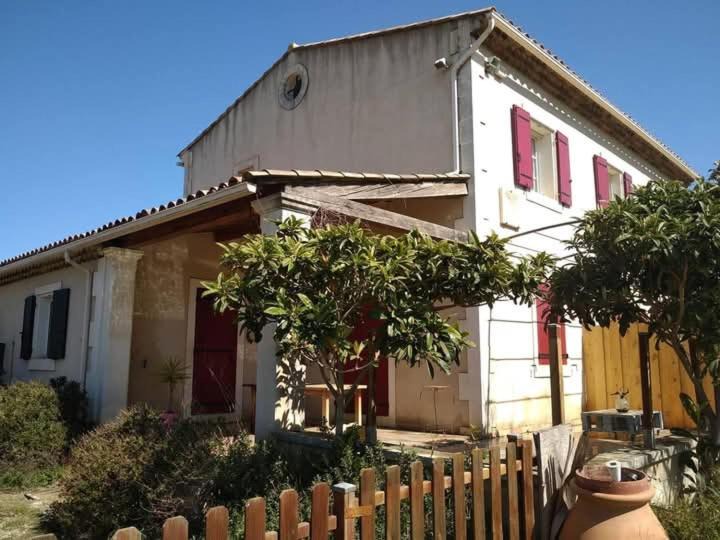 Photo of Others in Maillane