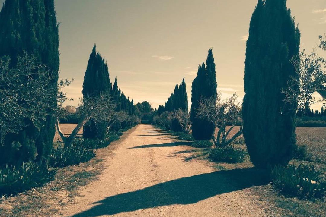 Photo of Others in Maillane