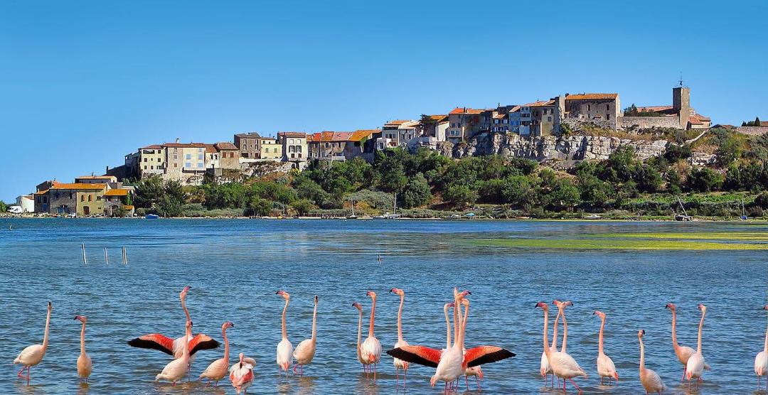 Photo of Others in Bages