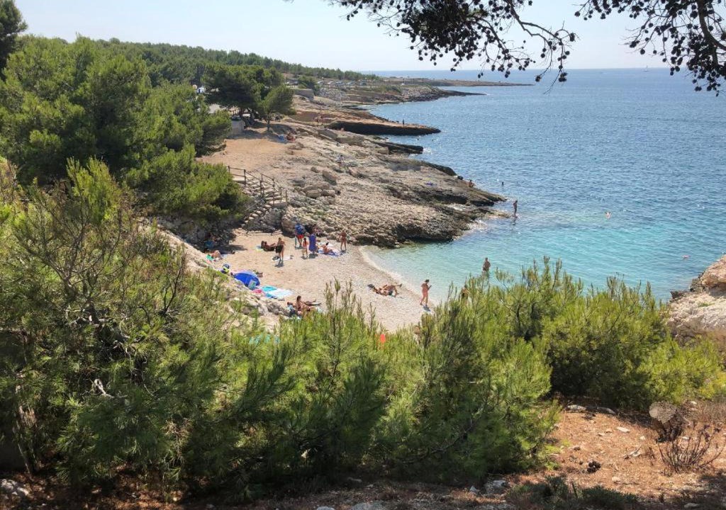 Photo of Others in Sausset-les-Pins