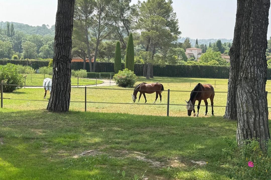 Photo of Others in Chateauneuf-Grasse