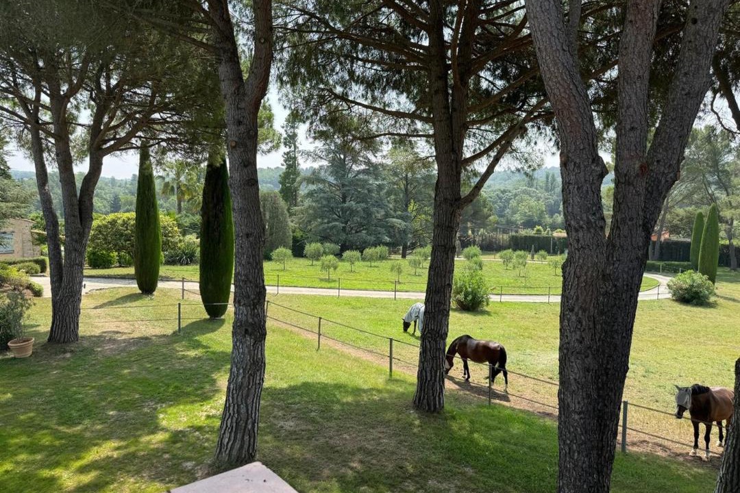 Photo of Others in Chateauneuf-Grasse