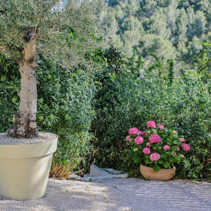 Photo of Others in Les Baux-de-Provence