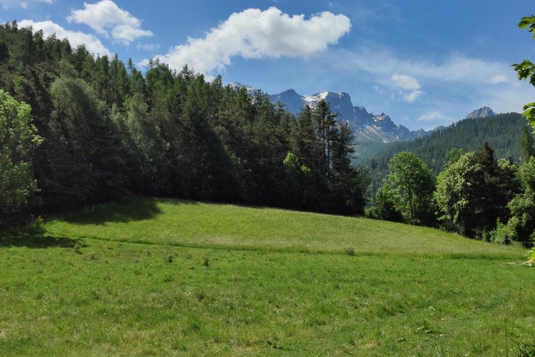 Photo of Others in Barcelonnette