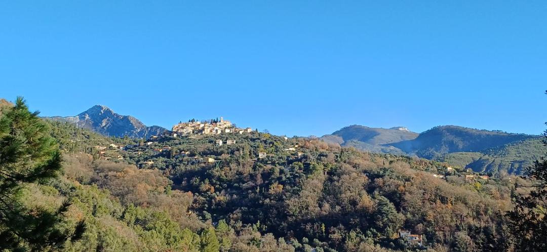Photo of Others in Coaraze