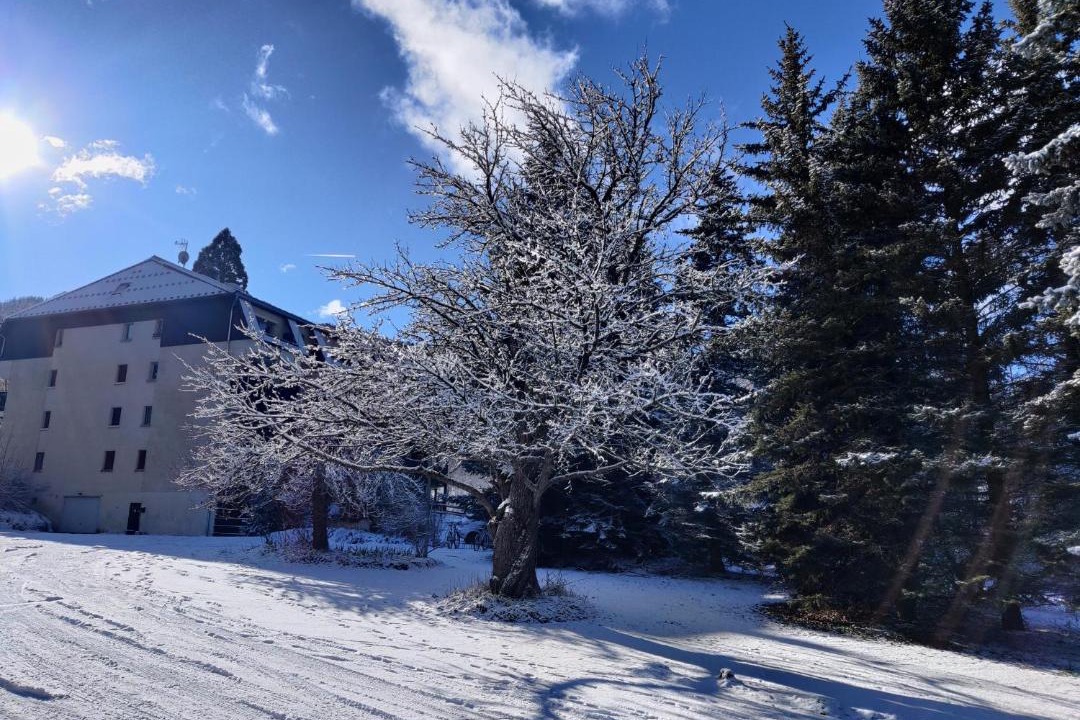 Photo of Others in Barcelonnette
