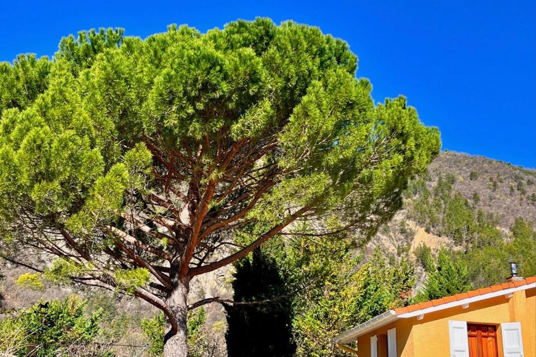 Photo of Others in Digne-les-Bains