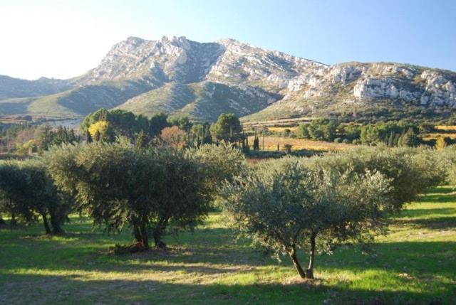 Photo of Others in Eygalieres