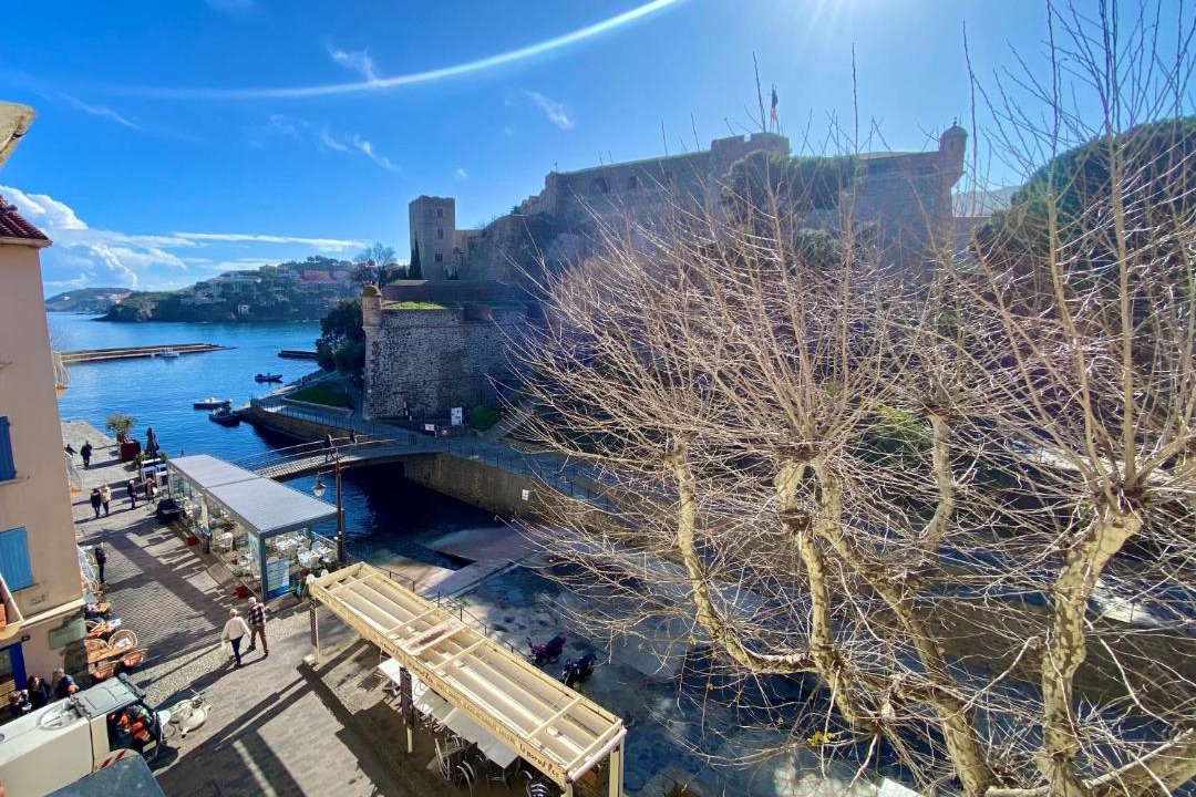 Photo of Others in Collioure